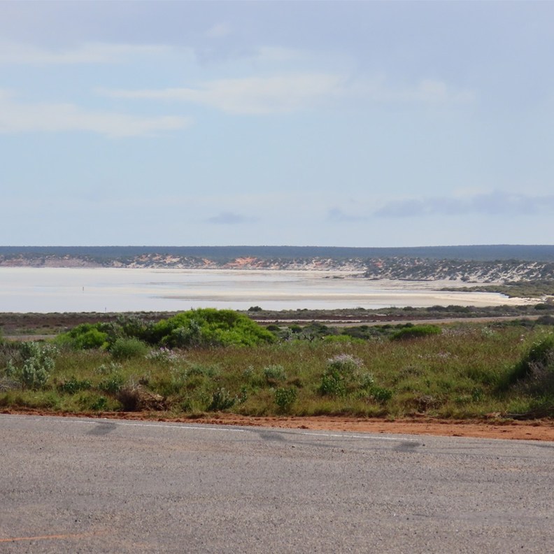 Denham Lookout 3