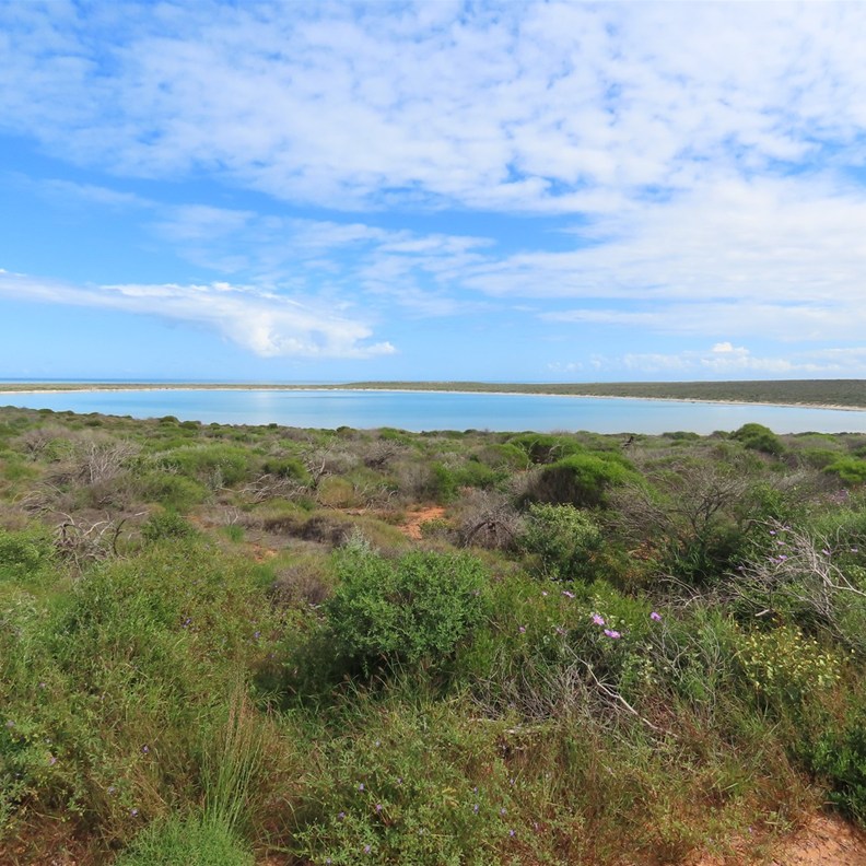 Little Lagoon