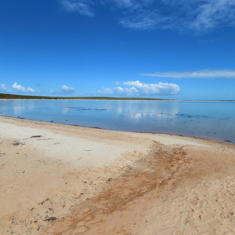 Little Lagoon 2