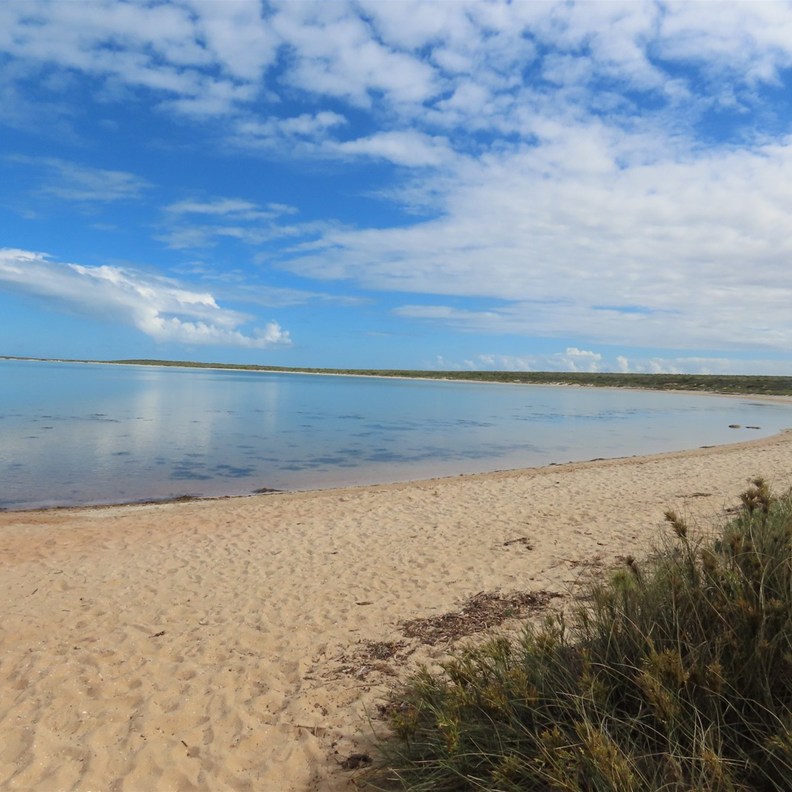 Little Lagoon 3