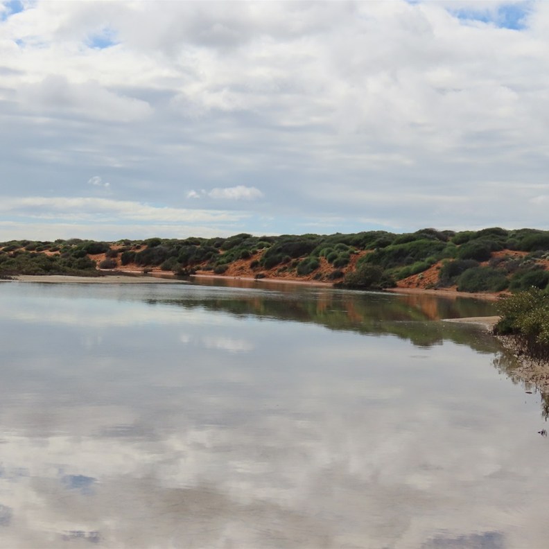 Lagoon Creek