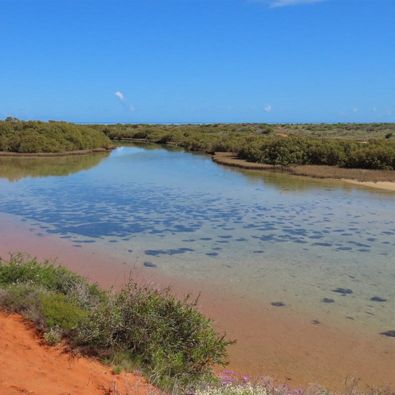 Lagoon Creek 2