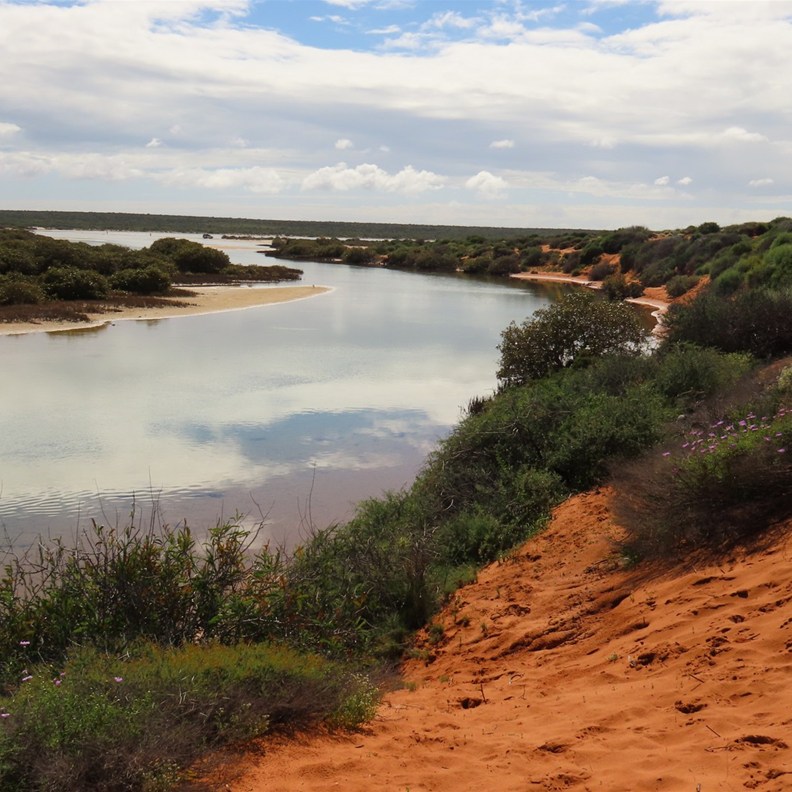 Lagoon Creek 3