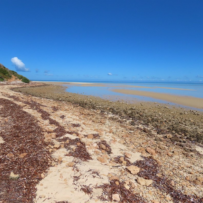 Nicholson Point