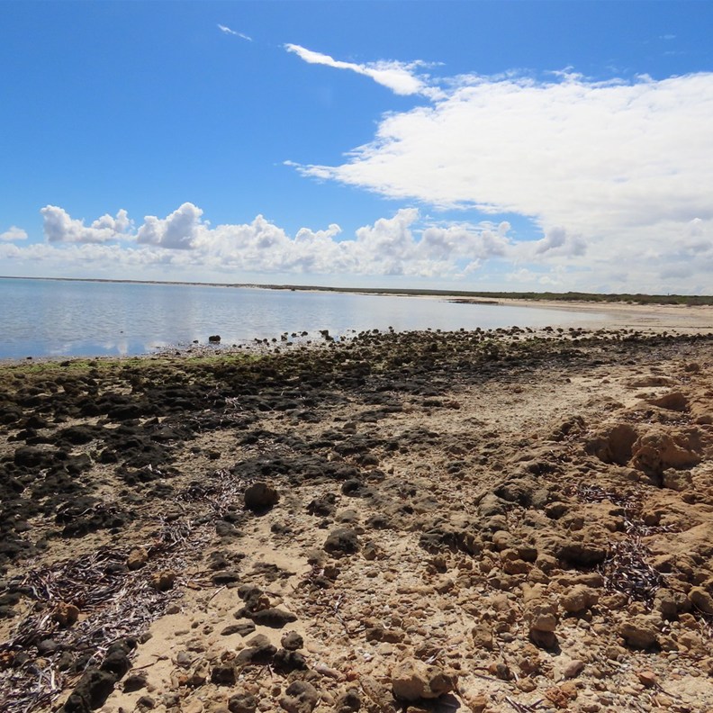 Nicholson Point 2