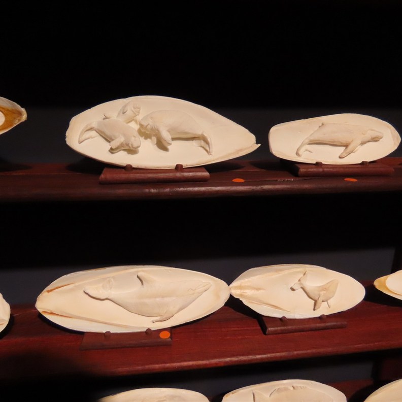 Shell Carvings