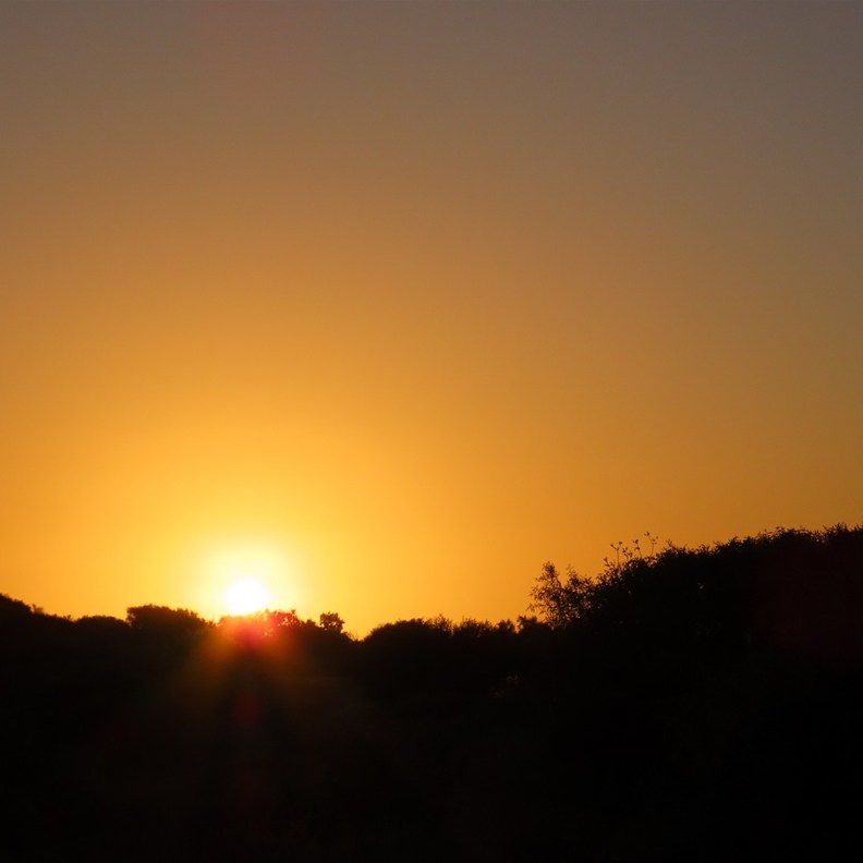 Sunrise