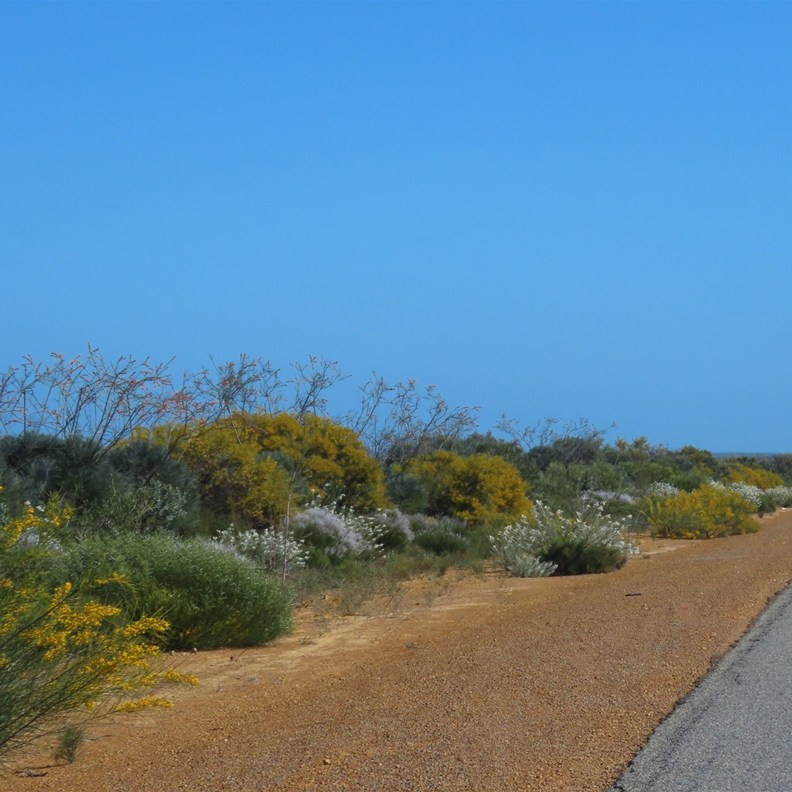 Kalbarri National Park