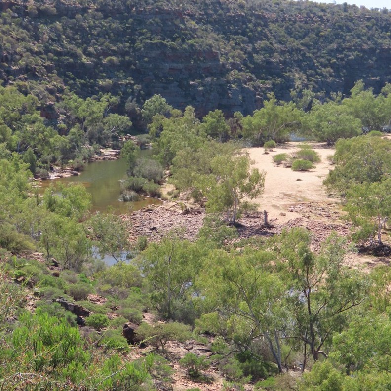 Ross Graham Lookout 2