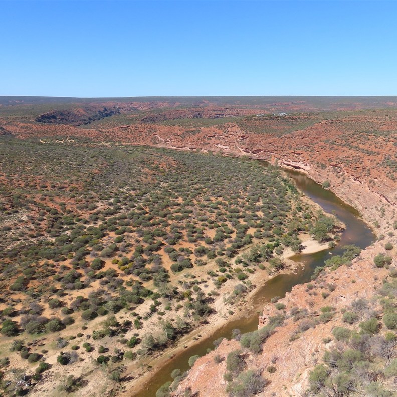 Kalbarri Skywalk 2