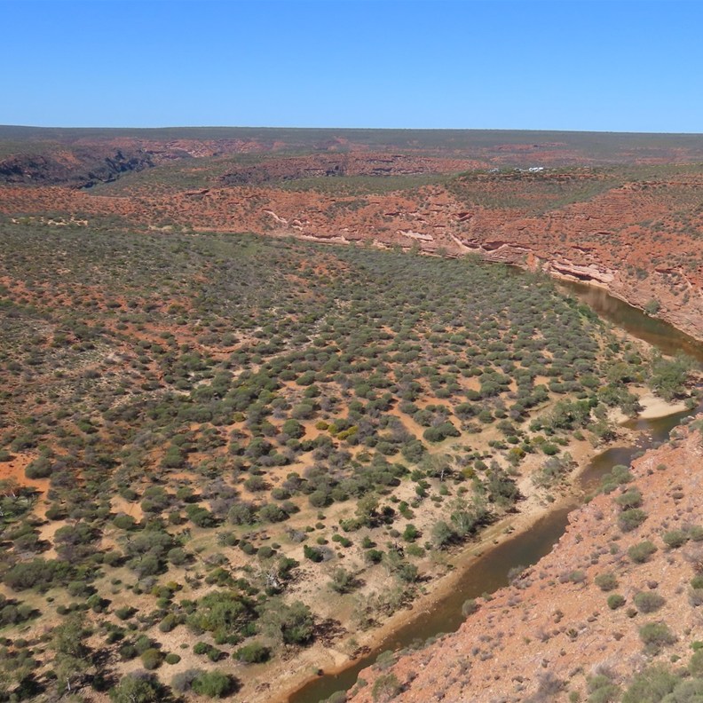 Kalbarri Skywalk 4