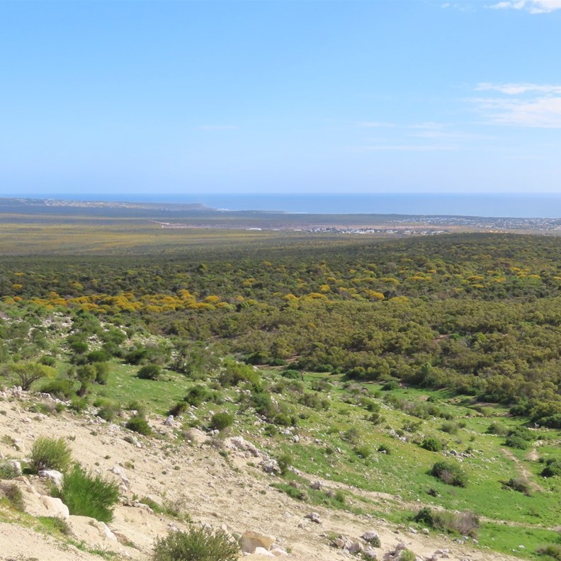 Meanarra Hill Lookout