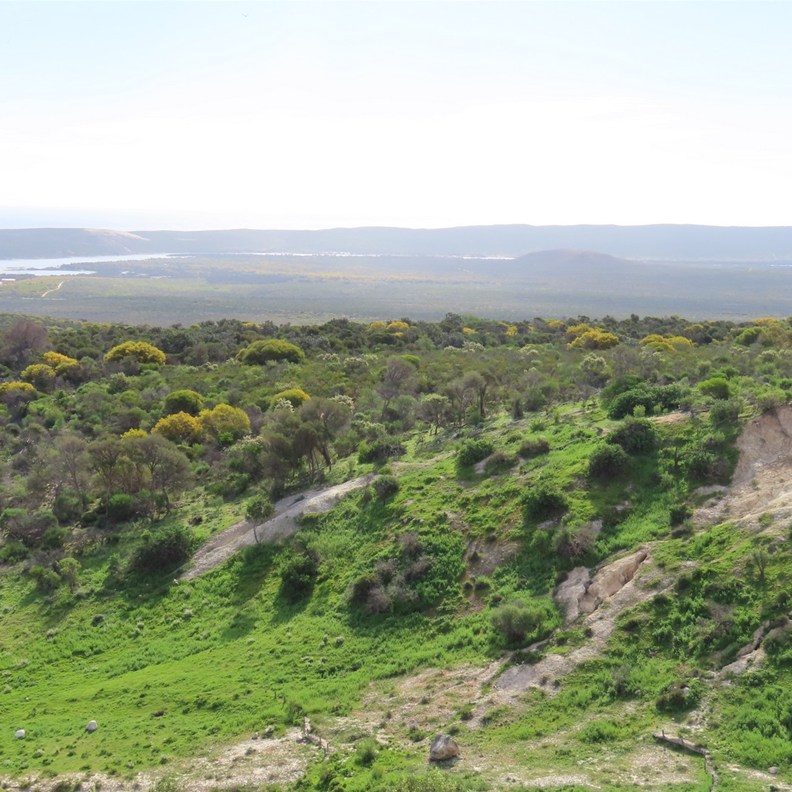 Meanarra Hill Lookout 2