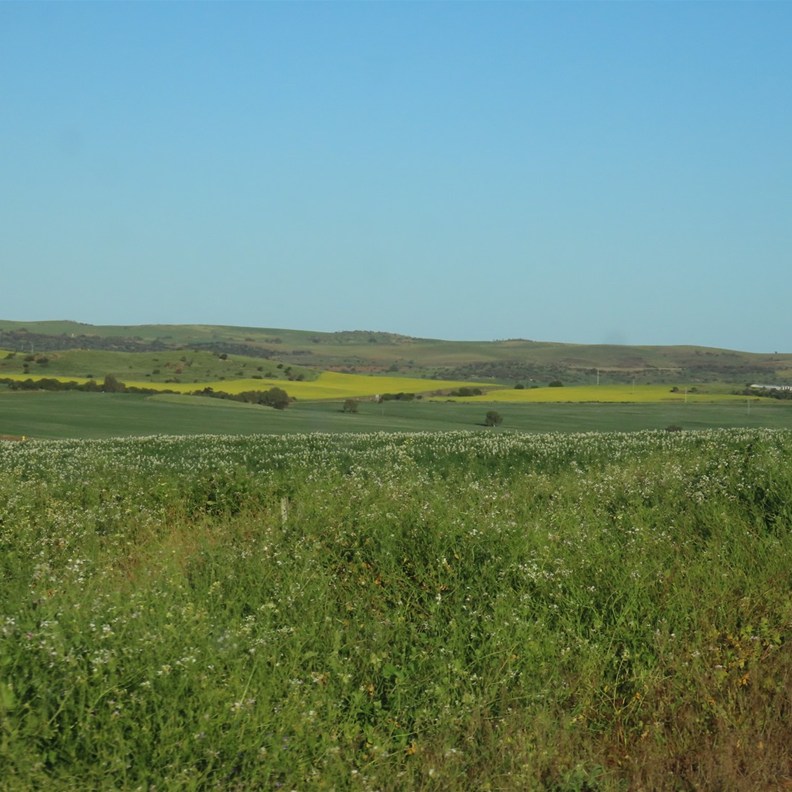 Road on the way to Geraldton