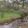 Day 84 Lesmurdie Falls