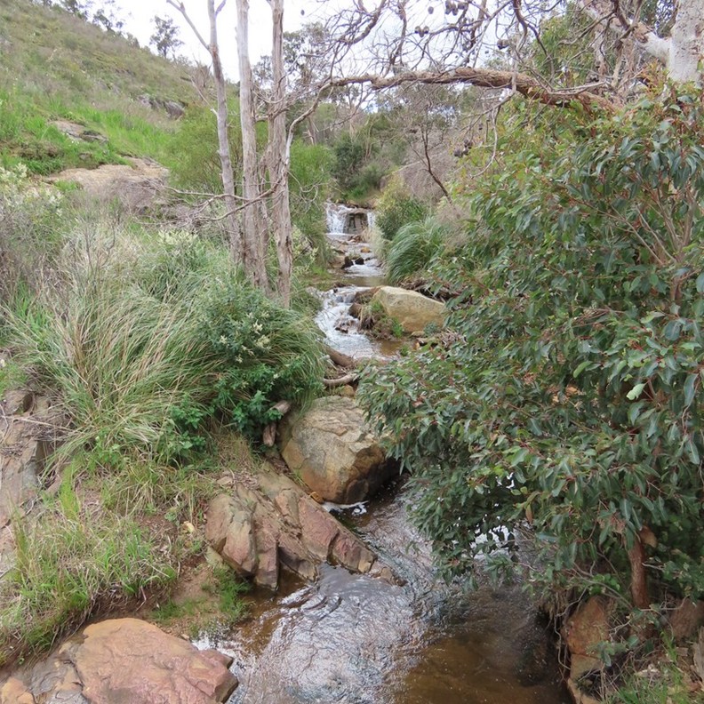Lesmurdie Falls 3