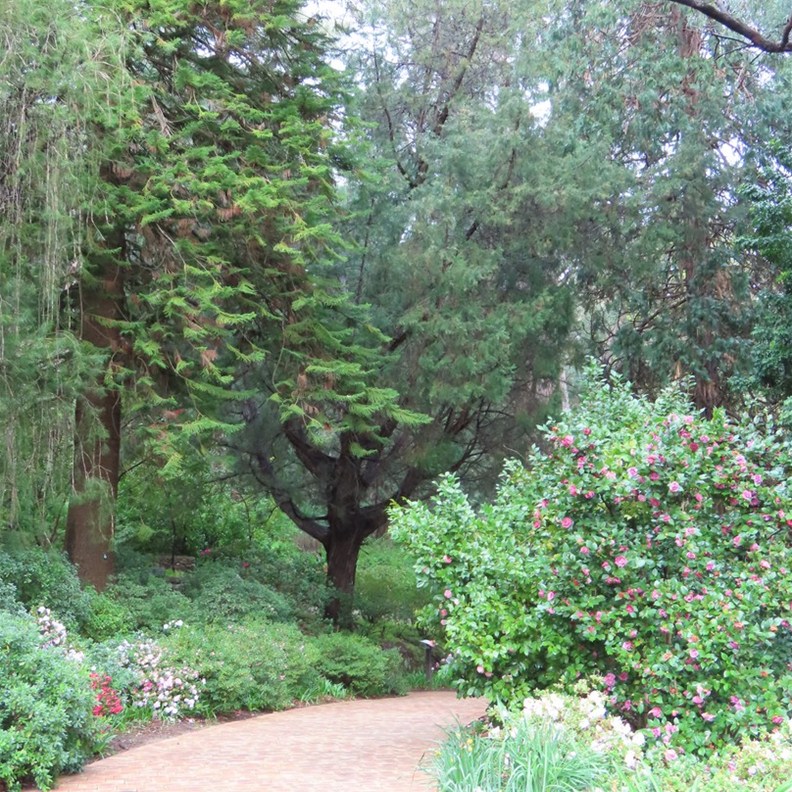 Araluen 2