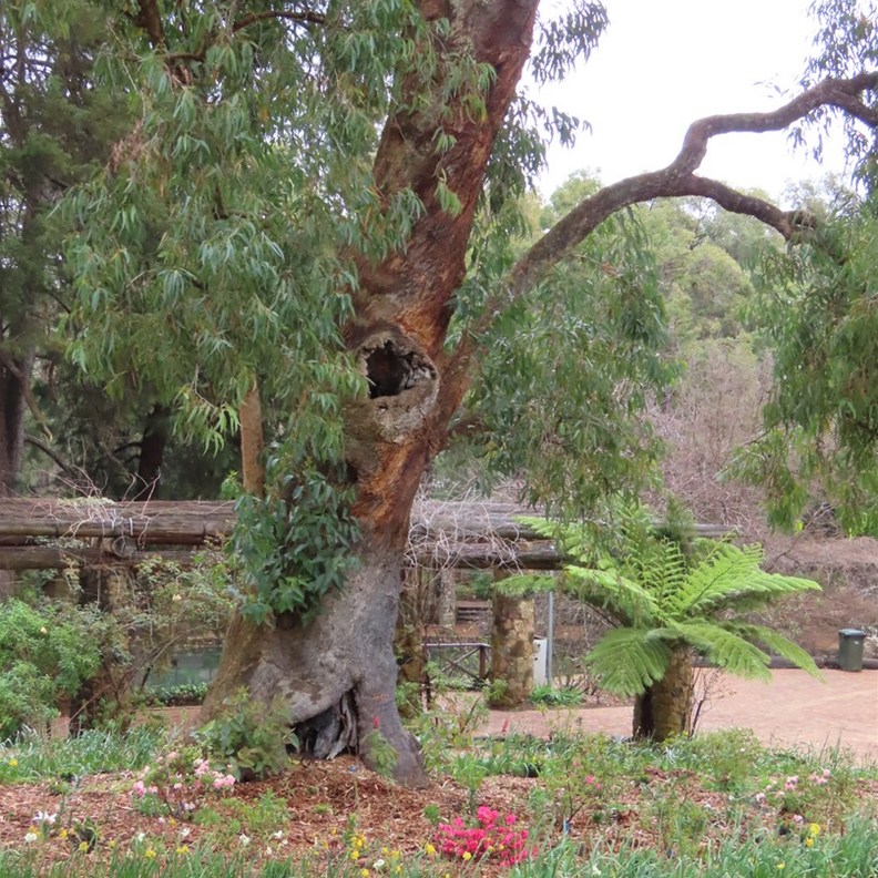 Araluen 3