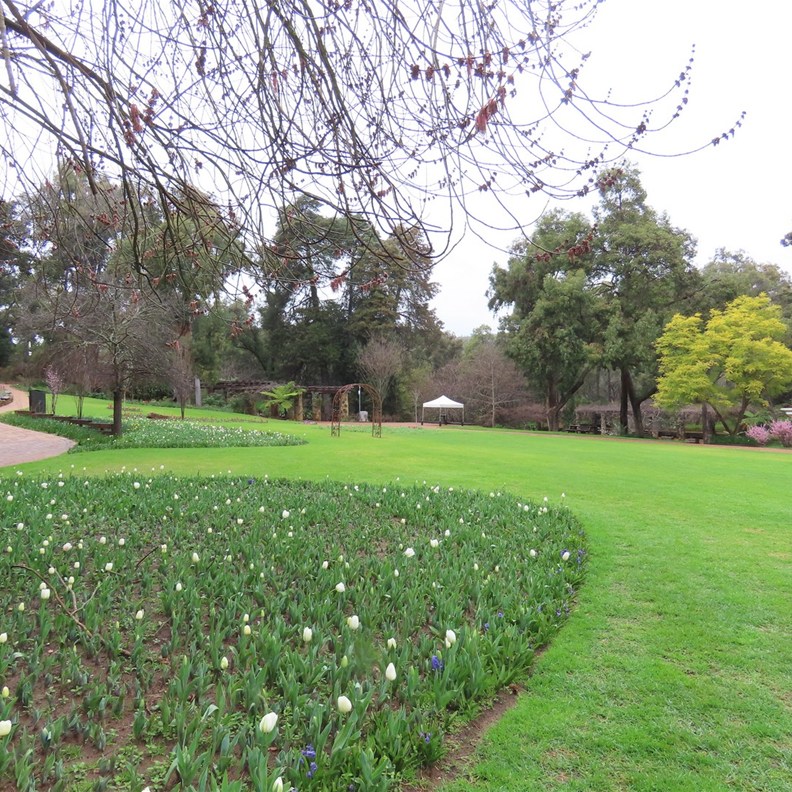 Araluen 4