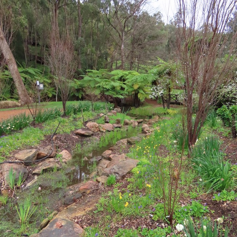 Araluen 5