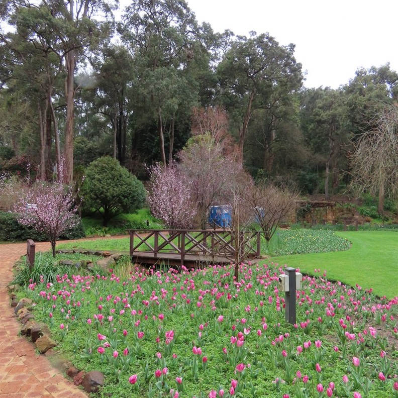 Araluen 6