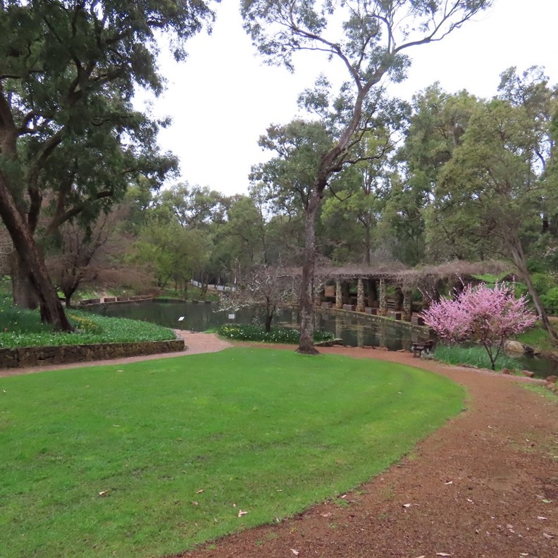Araluen 7