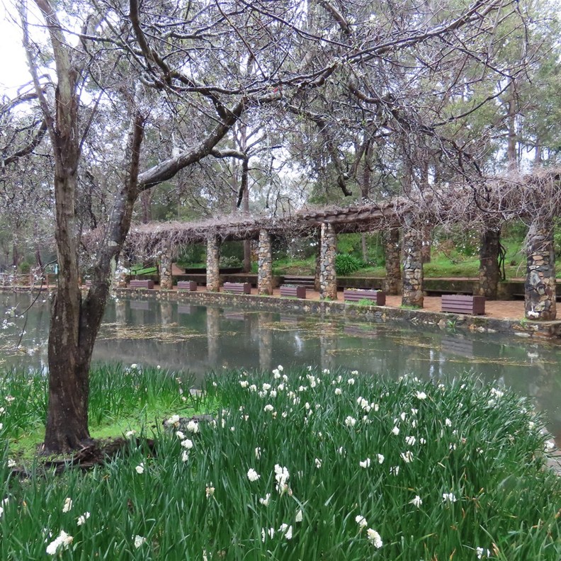 Araluen 8