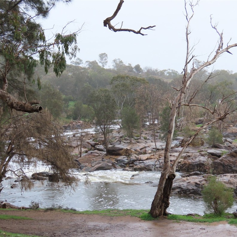 Bells Rapids