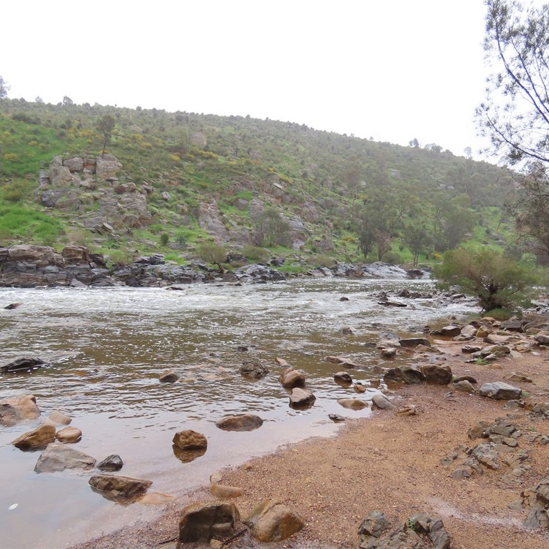 Bells Rapids 4