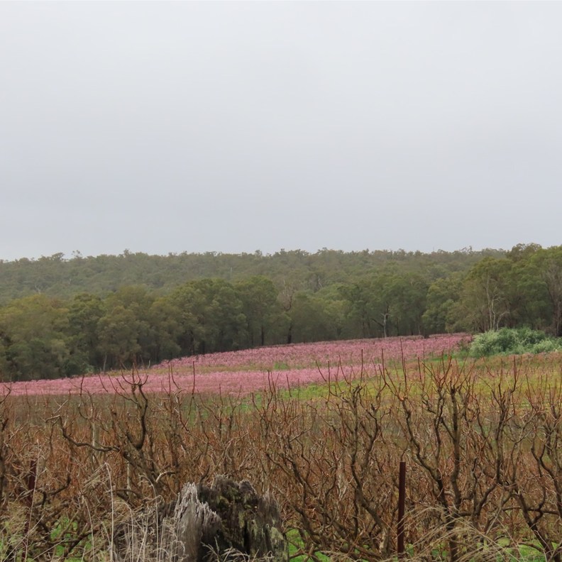 Becklet Valley 2