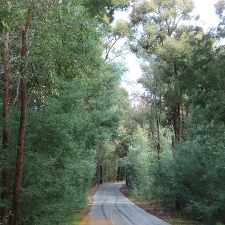 Road to Canning Dam