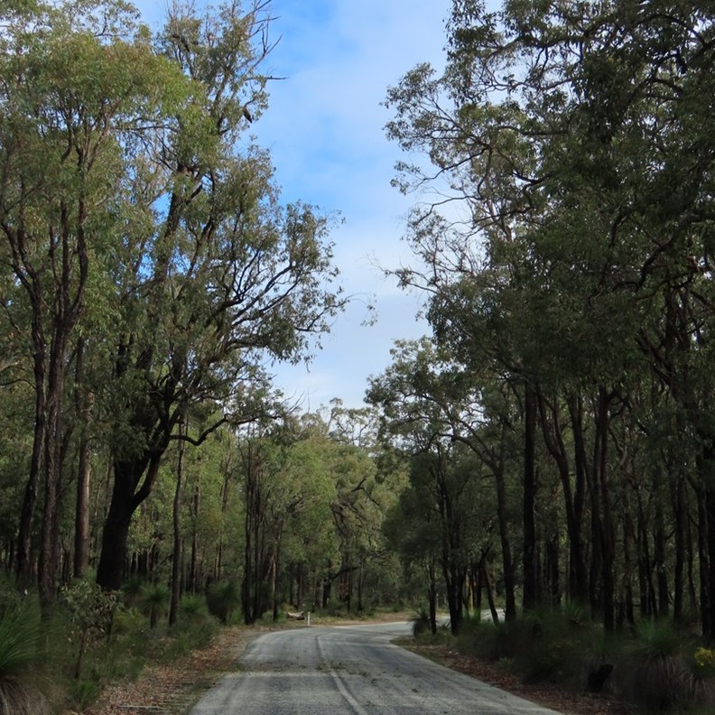 Road to Canning Dam 2