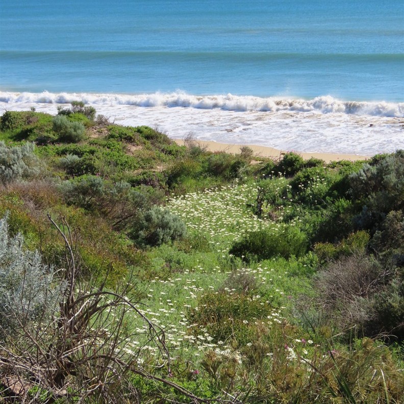 Halls Head Beach Front
