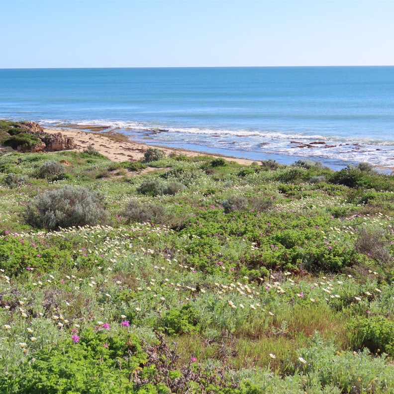 Halls Head Beach Front 3