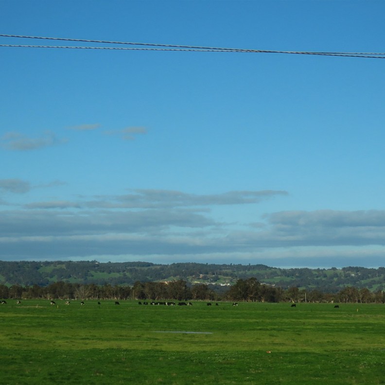 Road to Margaret River