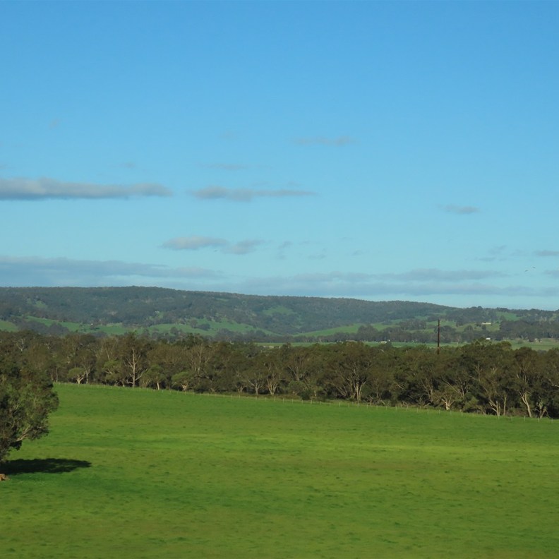 Road to Margaret River 2