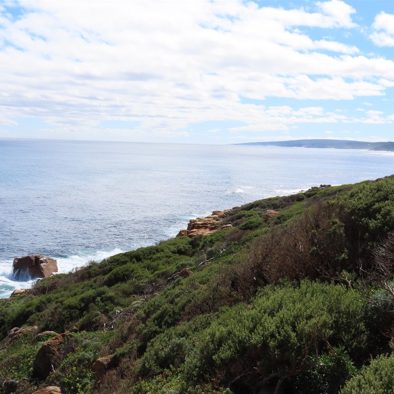 Gracetown 5