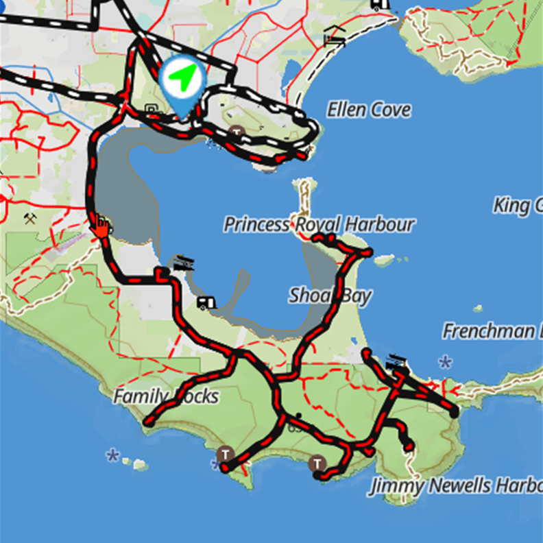 Tracker Day 100