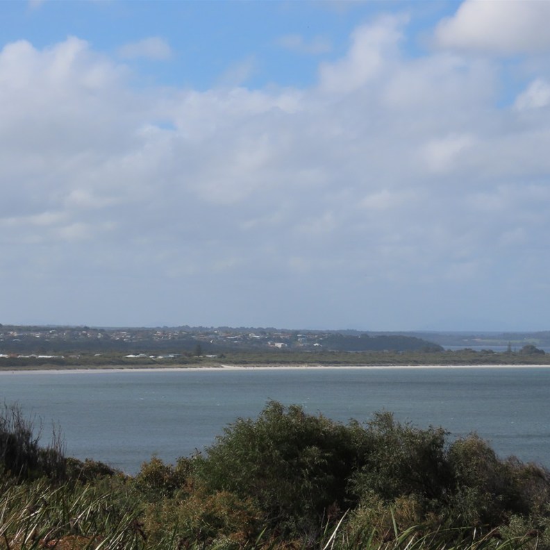 Albany Lookout