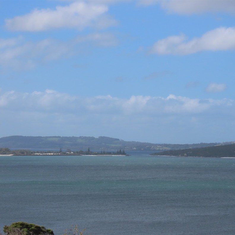 Albany Lookout 2