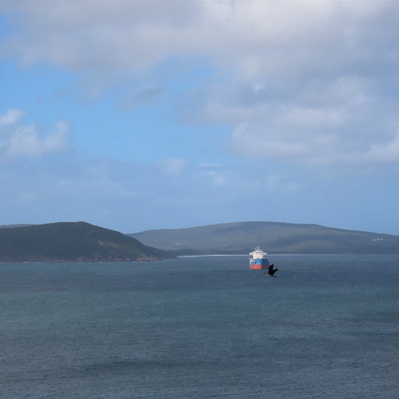 Albany Lookout 3