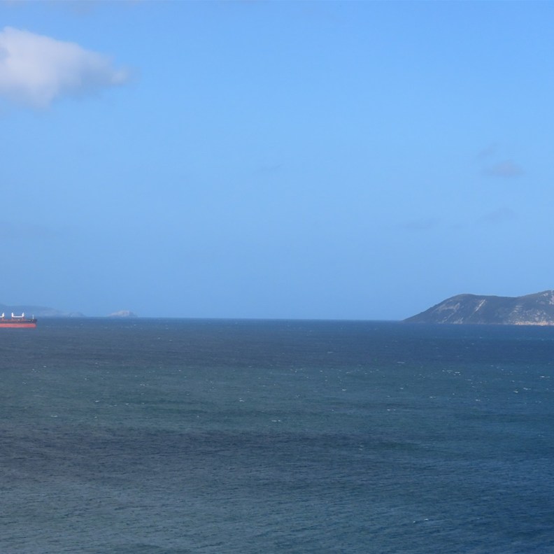 Albany Lookout 4