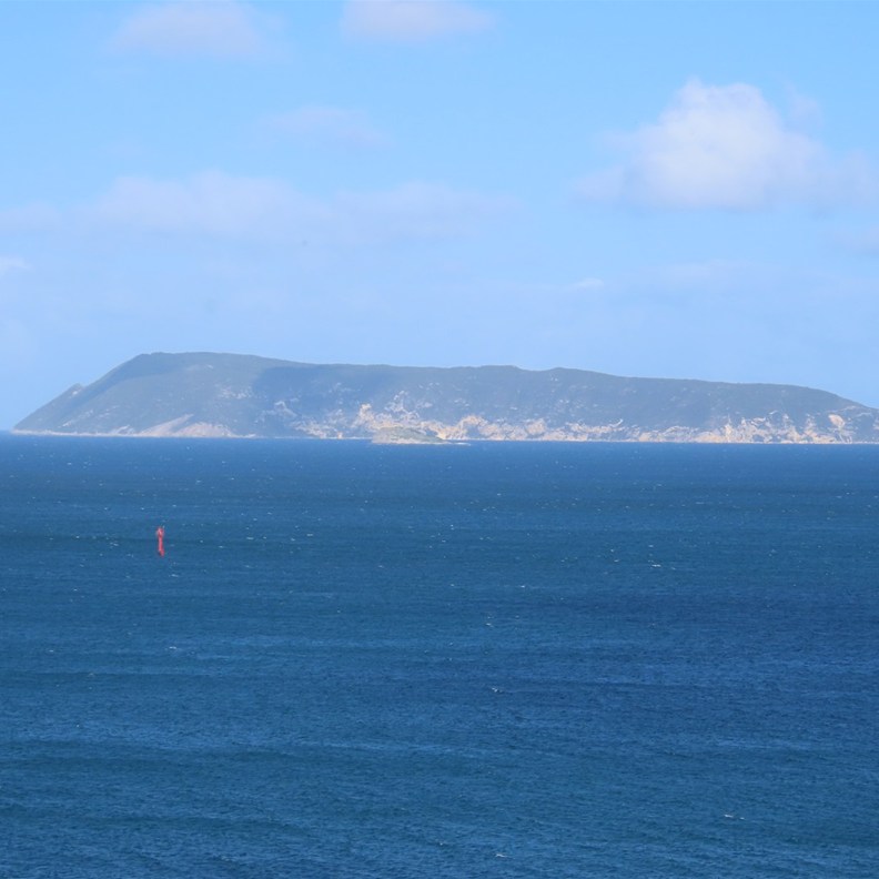 Albany Lookout 5