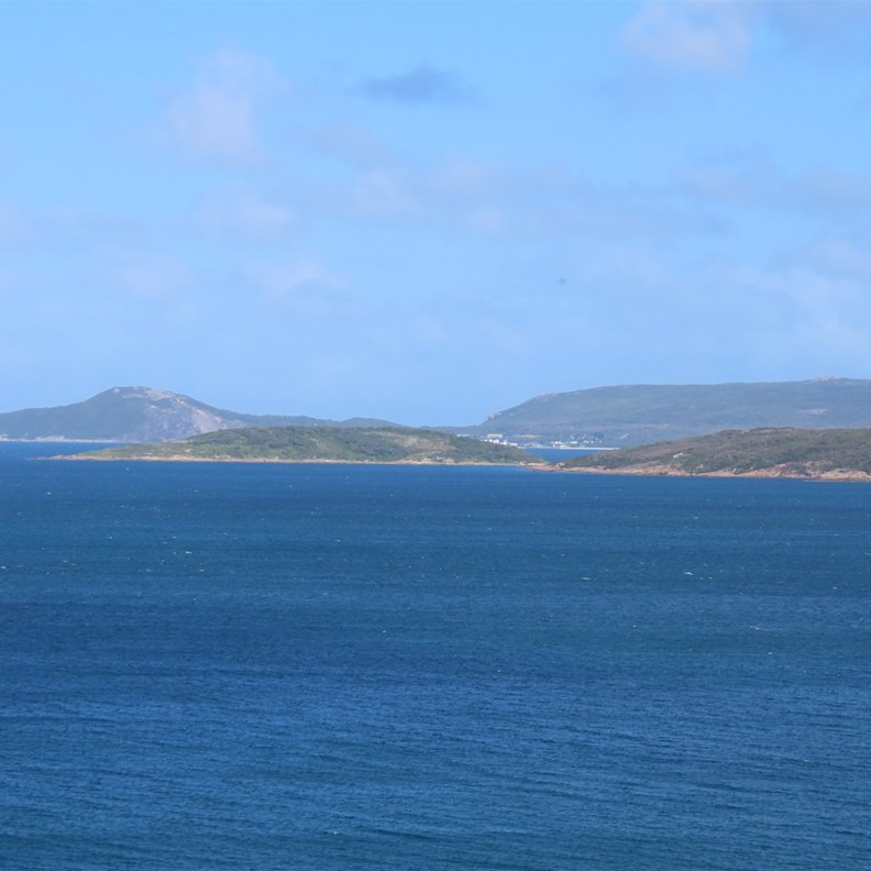 Albany Lookout 6