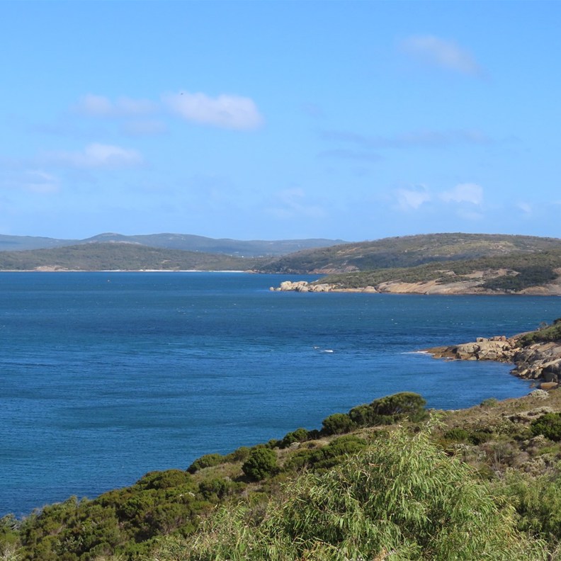 Albany Lookout 7