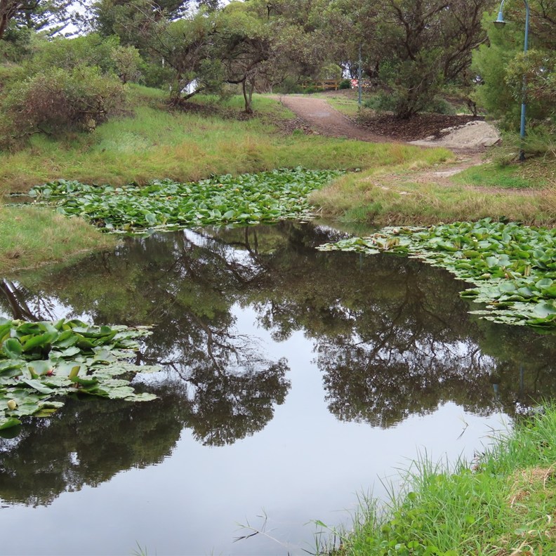 I love reflections