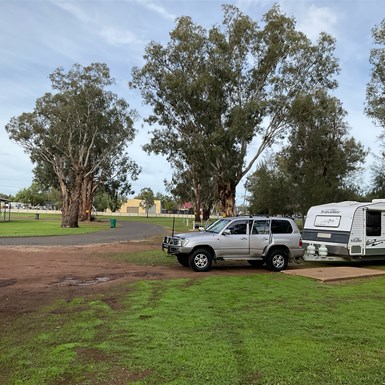 Dunedoo Van Park