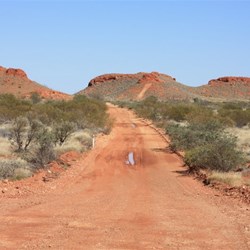Great driving views through Peterman Ranges