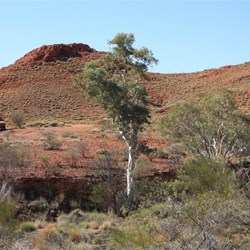 View of camp/carpark at Christmas Pool