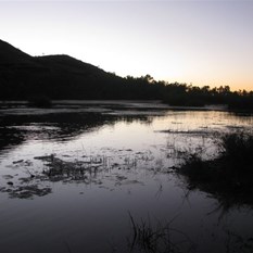 Sunset Carrawine Gorge